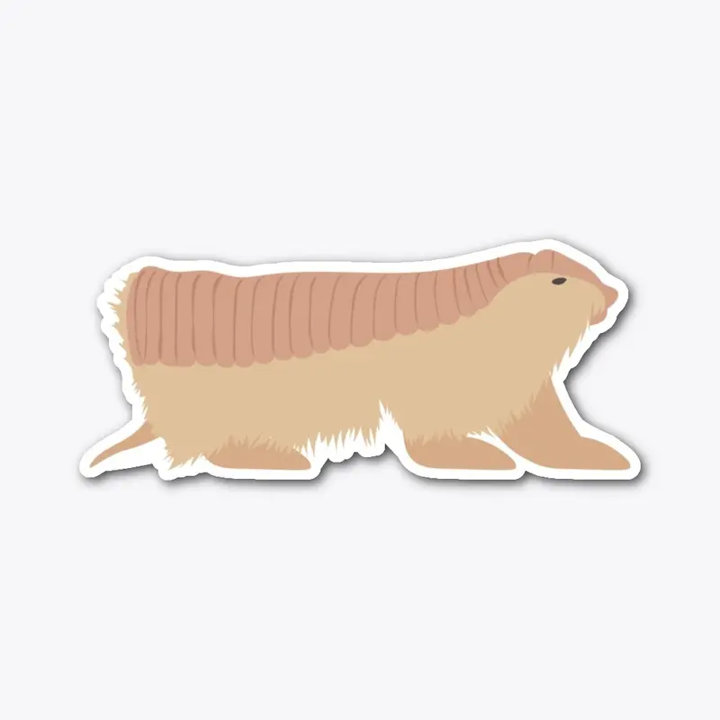 Pink fairy armadillo 