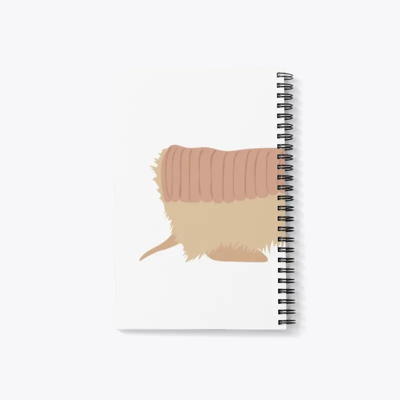 Pink fairy armadillo 